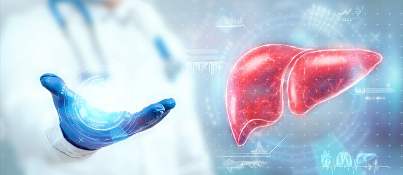 Liver Diseases Image