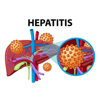 Hepatitis B & C